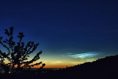 Silhouette trees against sky at night