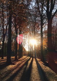 Road amidst trees against sky during sunset