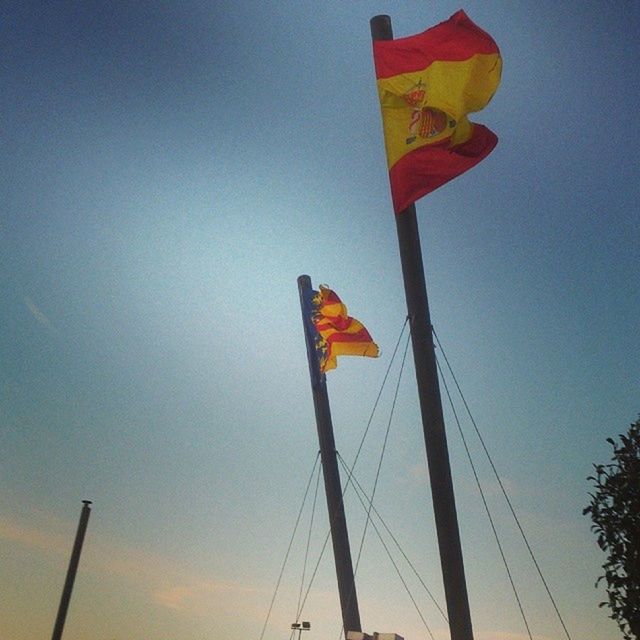 low angle view, clear sky, bird, flag, animal themes, pole, one animal, perching, blue, sky, multi colored, national flag, patriotism, identity, outdoors, no people, nature, animals in the wild, copy space, day