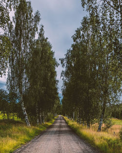 Road amidst trees against sky