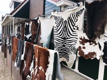 High angle view of clothes hanging on building