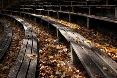 High angle view of wooden bench during autumn 