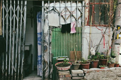 Clothes drying against plants