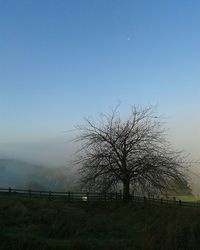 Scenic view of grassy field against sky