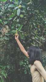Shirtless man holding fruit hanging on plant