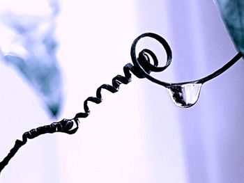 Low angle view of water drops on metal