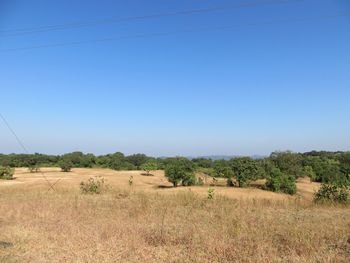 Scenic view of landscape against clear sky