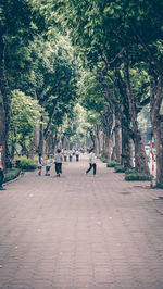 Rear view of people walking on footpath in park