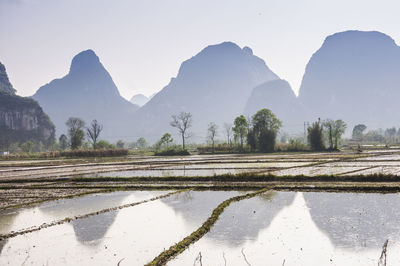 Scenic view of agricultural landscape against clear sky
