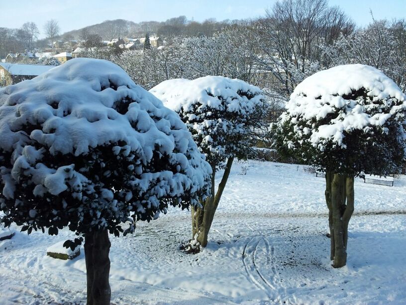 snow, winter, cold temperature, season, weather, frozen, white color, covering, nature, beauty in nature, tranquility, landscape, tranquil scene, field, cold, white, tree, covered, scenics, snow covered