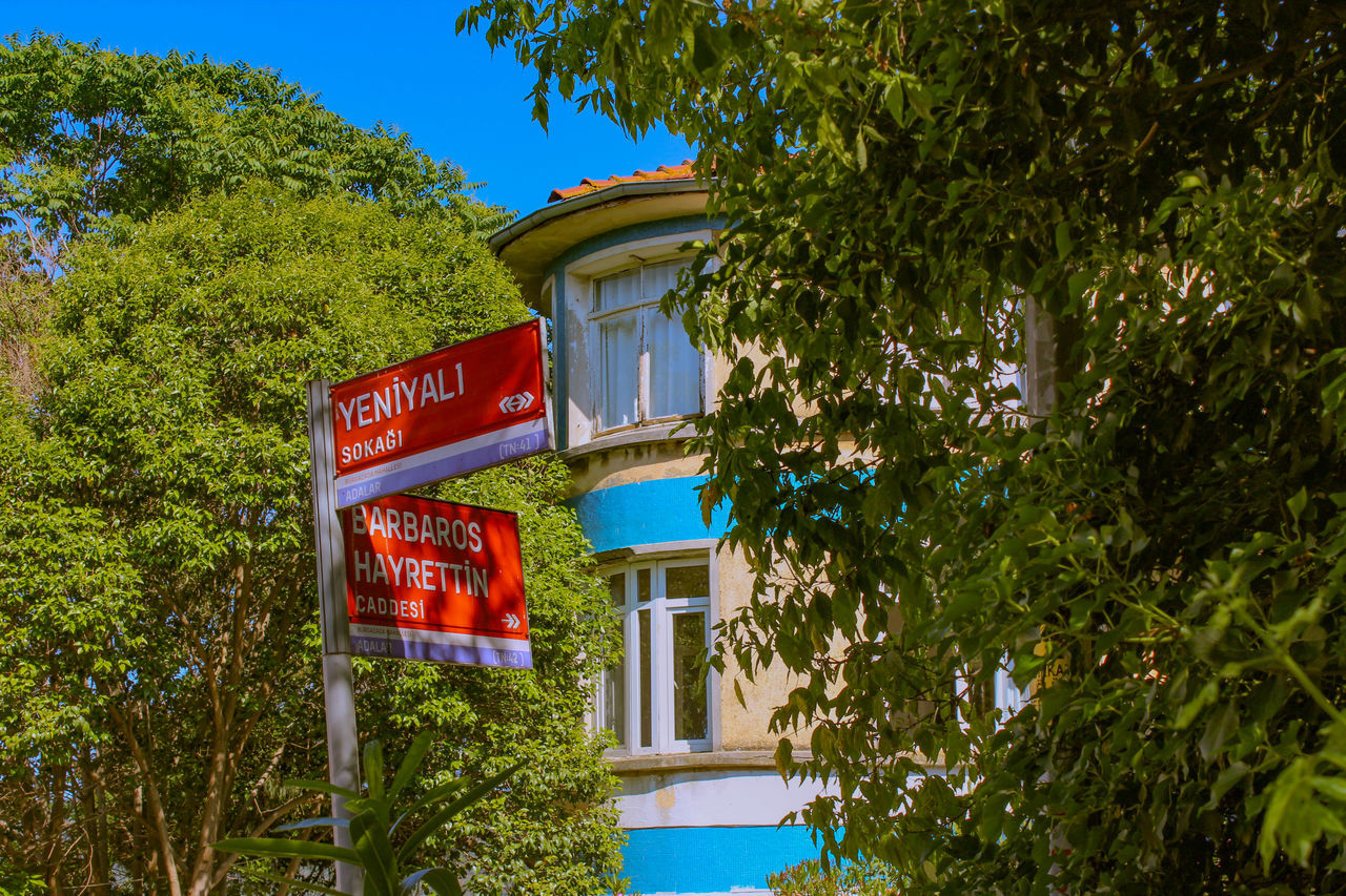 tree, plant, communication, nature, growth, sky, built structure, building exterior, green color, architecture, no people, text, day, sign, low angle view, blue, outdoors, building, western script, red