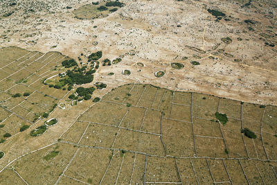 High angle view of agricultural field