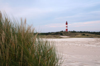 Panoramic image of the wittduen lighthouse at sunset, amrum, germany