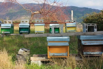 Colorful wooden constructions for raising bees and their honey. houses and beehives for beekeeping