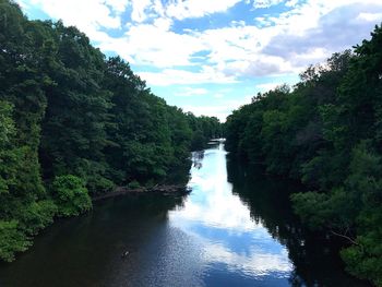 River amidst trees in forest against sky