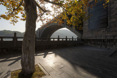 Arch bridge in park