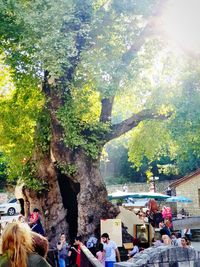 People by tree in city