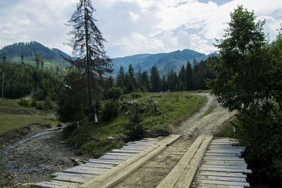 Footpath amidst trees on landscape against sky