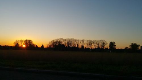 Silhouette trees on field against clear sky at sunset