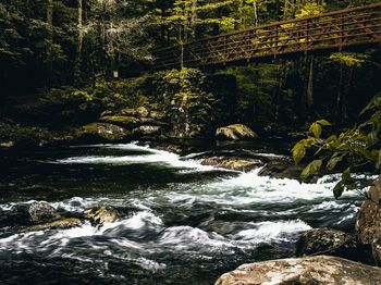 Scenic view of waterfall in forest