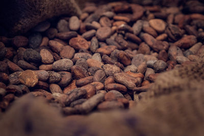 Close-up of coffee beans