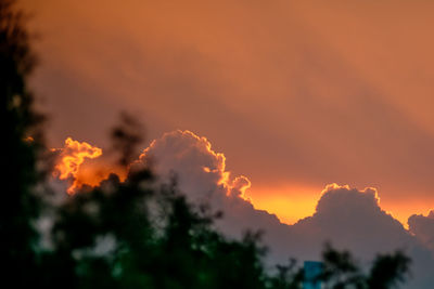 Low angle view of silhouette tree against orange sky