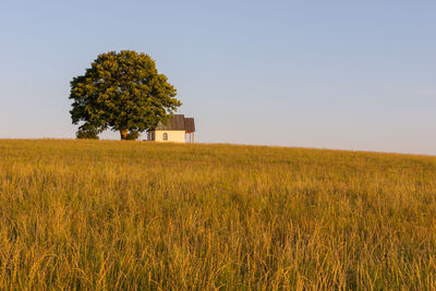 Scenic view of field against clear sky