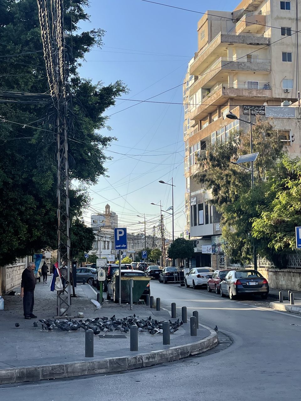 architecture, built structure, urban area, tree, building exterior, plant, city, nature, day, road, transportation, street, transport, building, cityscape, mode of transportation, outdoors, no people, downtown, residential district, vehicle, landmark, sky