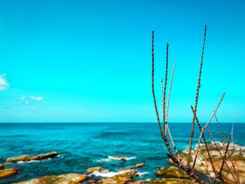 Scenic view of sea against clear blue sky