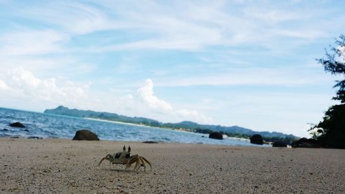 Tourists on beach