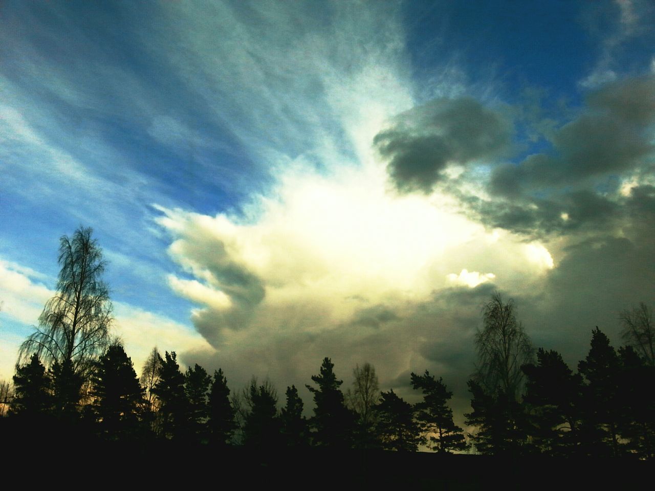 tree, silhouette, sky, tranquility, cloud - sky, low angle view, tranquil scene, beauty in nature, scenics, nature, cloudy, cloud, idyllic, growth, outdoors, no people, non-urban scene, sunlight, dusk, non urban scene