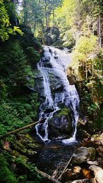 Scenic view of waterfall in forest