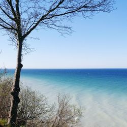 Scenic view of sea against clear blue sky