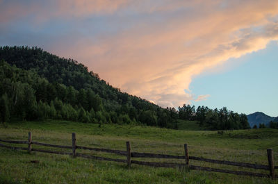Scenic view of field against sky