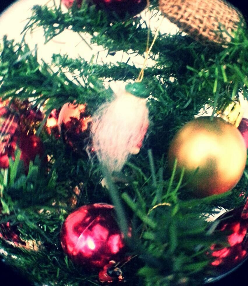 food and drink, red, food, freshness, healthy eating, close-up, fruit, growth, plant, green color, indoors, vegetable, leaf, no people, christmas, still life, selective focus, christmas decoration, high angle view, christmas tree