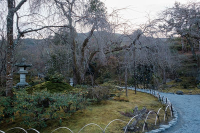 Bare trees on land during winter