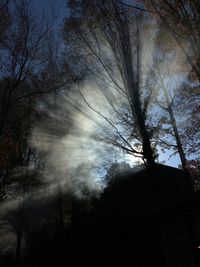 Low angle view of silhouette trees by building against sky