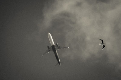 Low angle view of airplane flying in sky