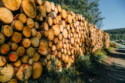 Stack of logs on field