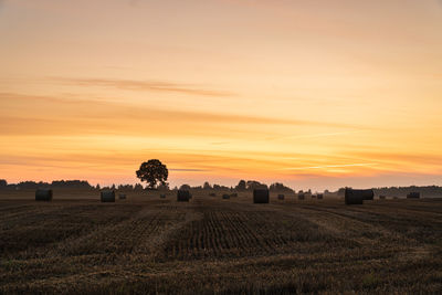 Scenic view of field against sky during sunset