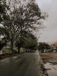 Road amidst trees and buildings in city