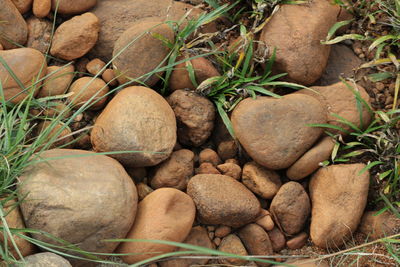 Close-up of pebbles