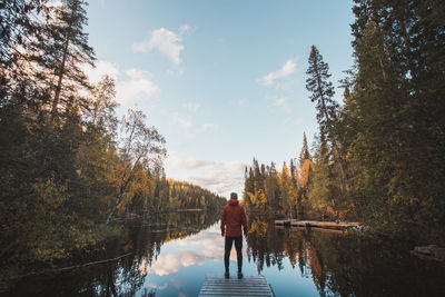 Traveller stands and admiring autumn in wilderness of hossa national park in lapland, finland.