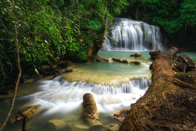 Scenic view of waterfall in forest