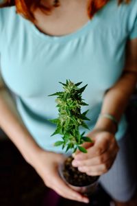 Midsection of woman holding potted plant