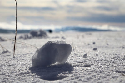 Close-up of snow covered land on beach