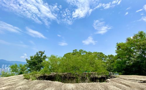 Trees on landscape against sky