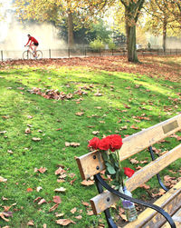 View of bicycle on field