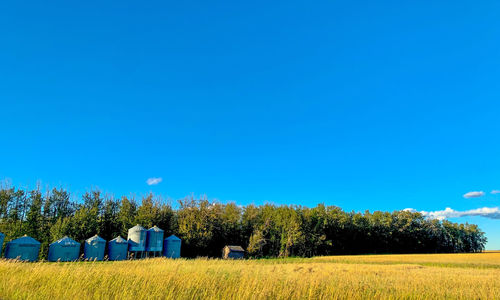 Scenic view of field against blue sky