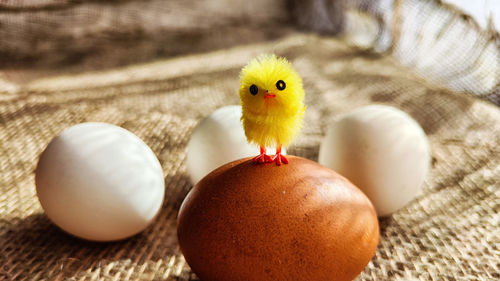 Close-up of easter egg on table